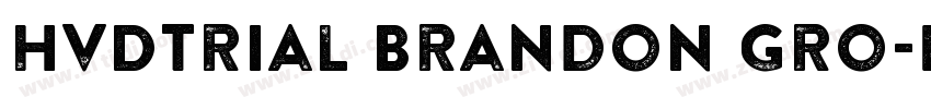HvDTrial Brandon Gro字体转换
